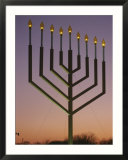 National Menorah  Elipse  Washington  DC