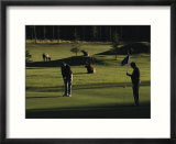 Two People Play Golf While Elk Graze on the Golf Course