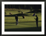 Two People Play Golf While Elk Graze on the Golf Course