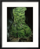 A man stands at the mouth of a fluvial cave near lush slope