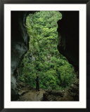 A man stands at the mouth of a fluvial cave near lush slope