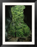A man stands at the mouth of a fluvial cave near lush slope