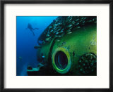 School of Fish and a Diver Swim Around the Research Vessel Aquarius