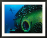 School of Fish and a Diver Swim Around the Research Vessel Aquarius