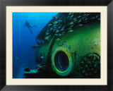 School of Fish and a Diver Swim Around the Research Vessel Aquarius