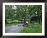 A Woman Feeds Pigeons in the City Park in Vienna