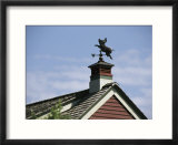 A Flying Pig Weather Vane on a Roof Top