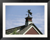A Flying Pig Weather Vane on a Roof Top