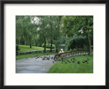 A Woman Feeds Pigeons in the City Park in Vienna