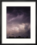 Lightning Flashes over a Stand of Trees
