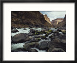 Colorado River flows over a rocky streambed