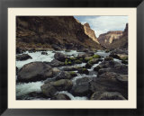 Colorado River flows over a rocky streambed