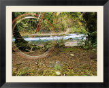 A bicycle zooms by in this double-exposed photograph