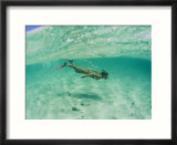 A woman snorkels in the clear blue sea