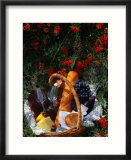 Picnic Basket (Wine  Bread & Cheese) in Bed of Flowers  Western Australia  Australia