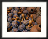 Maraccas at Arts Centre Market  Accra  Greater Accra  Ghana
