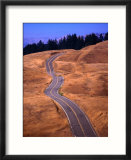 Winding Road at Mount Tamalpais  California  USA