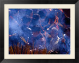 People Burning Incense at Wong Tai Sin Temple  Kowloon  Hong Kong  China