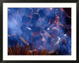 People Burning Incense at Wong Tai Sin Temple  Kowloon  Hong Kong  China