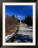 Road Through Forest  Lappi  Finland