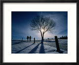 Couple Hiking on a Path with Winter Sun  Zurich  Switzerland