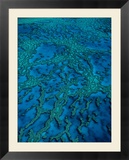 Aerial of Hardy Reef in the Whitsundays on the Great Barrier Reef  Queensland  Australia