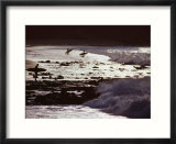 Surfers at Dawn Walking into Waves  Cabo Blanco  Peru