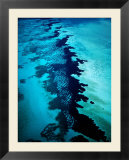 Aerial of Coral Formations  Shark Bay  Australia