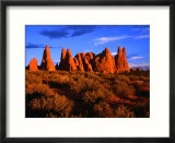 Eroded Sandstone Pinnacles and Fins  Arches National Park  Utah  USA