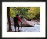 Crossing the Virgin River in the Zion National Park  Zion National Park  Utah  USA