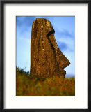 Moai Statue Lying Submerged In Soil  Rano Raraku  Easter Island  Valparaiso  Chile