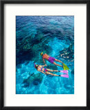 Snorklers  Bahamas  Caribbean