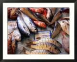 Market Fish  Rethymno  Crete  Greece