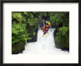 Raft in Tutea's Falls  Okere River  New Zealand
