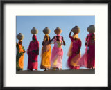 Women Carrying Pottery Jugs of Water  Thar Desert  Jaisalmer  Rajasthan  India