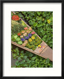 Detail of Boat in Water Lilies  Floating Market  Bangkok  Thailand