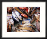 Market Fish  Rethymno  Crete  Greece