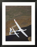 Gliders Racing near Omarama  South Island  New Zealand