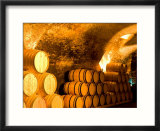 19th Century Wine Cellar  Juanico Winery  Uruguay
