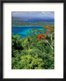 Magens Bay  St Thomas  Caribbean