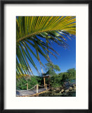 Sonesta Island  Aruba  Caribbean