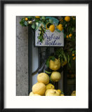 Lemons  Positano  Amalfi Coast  Campania  Italy