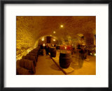Wine Cellar of Chateau de Pierreclos  Burgundy  France