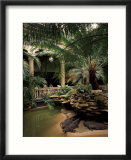 Reptile House at Forest Park  St Louis Zoo  St Louis  Missouri  USA