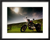 Harley Davidson Motorbike Sitting in Field  June 1998