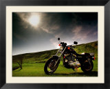 Harley Davidson Motorbike Sitting in Field  June 1998