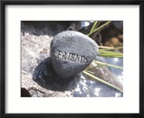 Rock with the Word Friends Beside Water