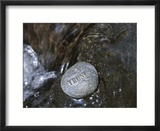 Rock with the Word Trust in Water