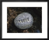 Rock with the Word Trust in Water