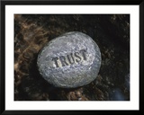 Rock with the Word Trust in Water